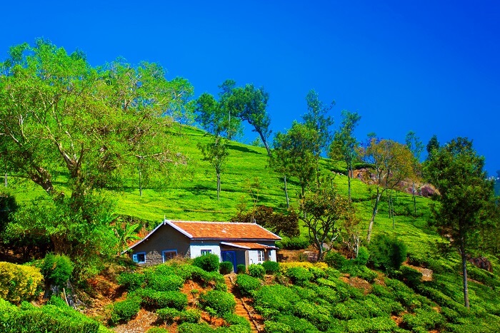 Coonoor-Most-Popular-Hill-Stations-in-South-India