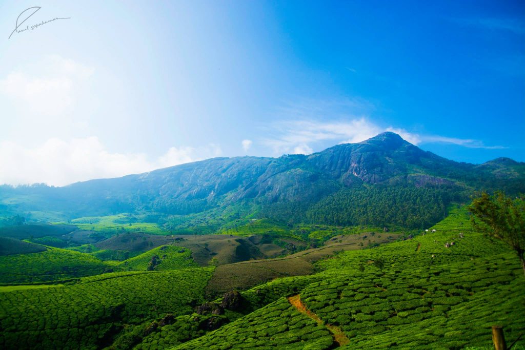 Devikulam-1-Most-Popular-Hill-Stations-in-South-India