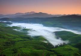 Idukki-Most-Popular-Hill-Stations-in-South-India