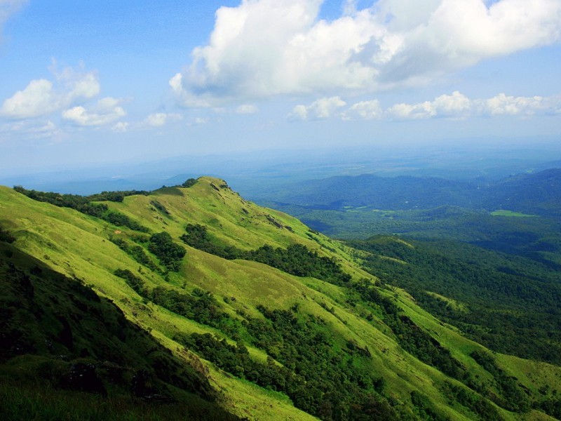 Munnar-Most-Popular-Hill-Stations-in-South-India